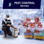 รูป banner ในเมนูบนเว็บไซต์ ไอเอฟเอส ของบริการป้องกัน-กำจัดแมลงและสัตว์รบกวน