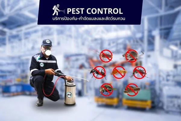 ภาพ banner พนักงานพร้อมให้บริการ pest control service ของบริษัท ไอเอฟเอส