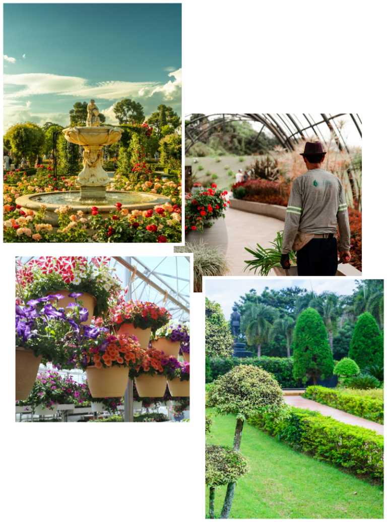 บริการออกแบบและจัดสวนสำหรับพื้นที่องค์กร สวนดอกไม้ น้ำพุ และภูมิทัศน์ครบวงจรโดยทีมงาน IFS Facility Services