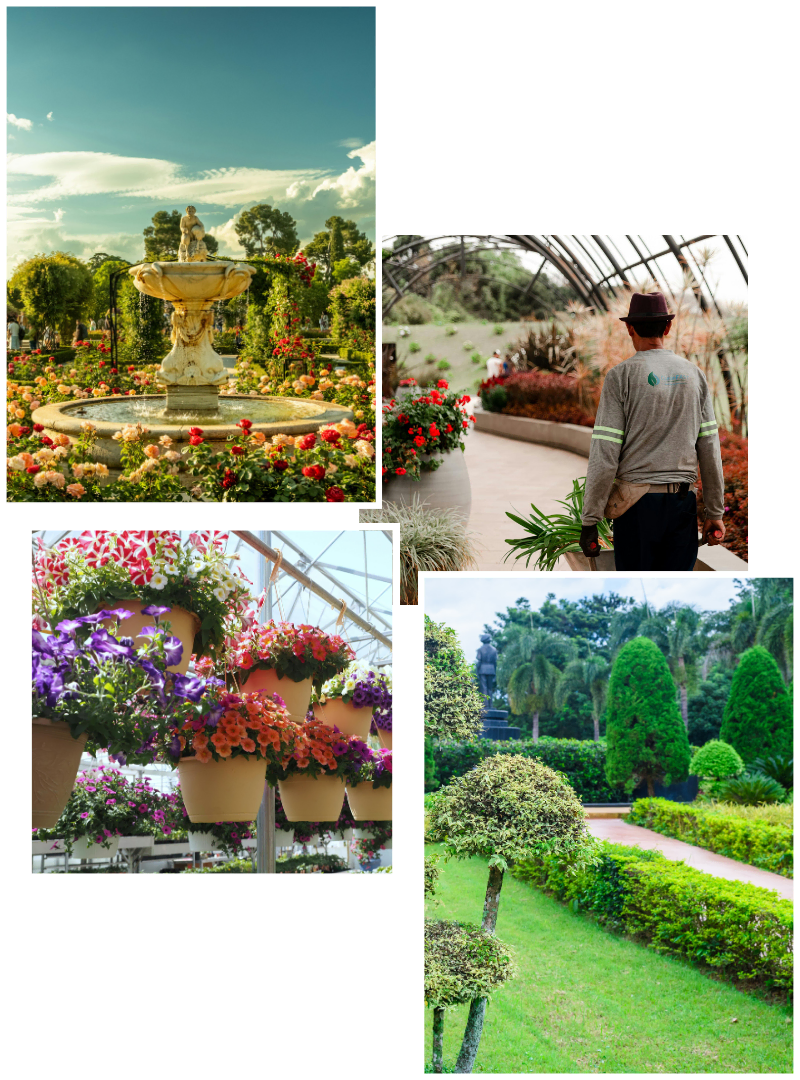 บริการออกแบบและจัดสวนสำหรับพื้นที่องค์กร สวนดอกไม้ น้ำพุ และภูมิทัศน์ครบวงจรโดยทีมงาน IFS Facility Services