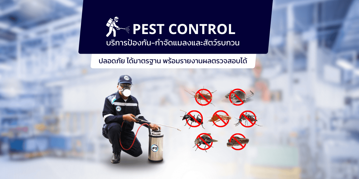 Banner เว็บบริการกำจัดแมลงและสัตว์รบกวน ของบริษัท ไอเอฟเอส