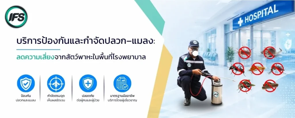 บริการป้องกันและกำจัดปลวกกับแมลงในโรงพยาบาลจาก ไอเอฟเอส ช่วยลดความเสี่ยงจากสัตว์พาหะ พร้อมดูแลพื้นที่อย่างปลอดภัยตามมาตรฐานสุขอนามัย - ภาพประกอบบทความ ยกระดับมาตรฐานโรงพยาบาล ด้วยโซลูชันด้านความปลอดภัยครบวงจร